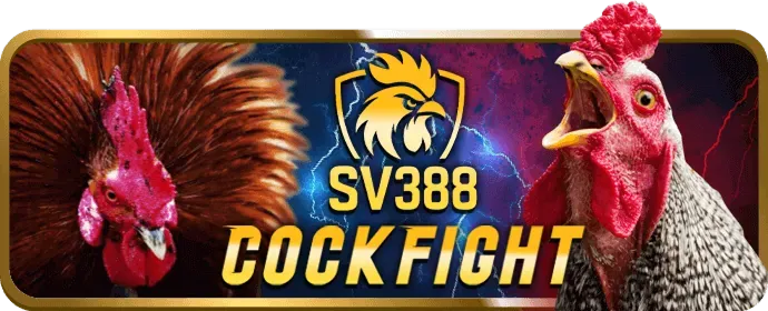 Các chương trình khuyến mãi bắn cá tại vip777 casino